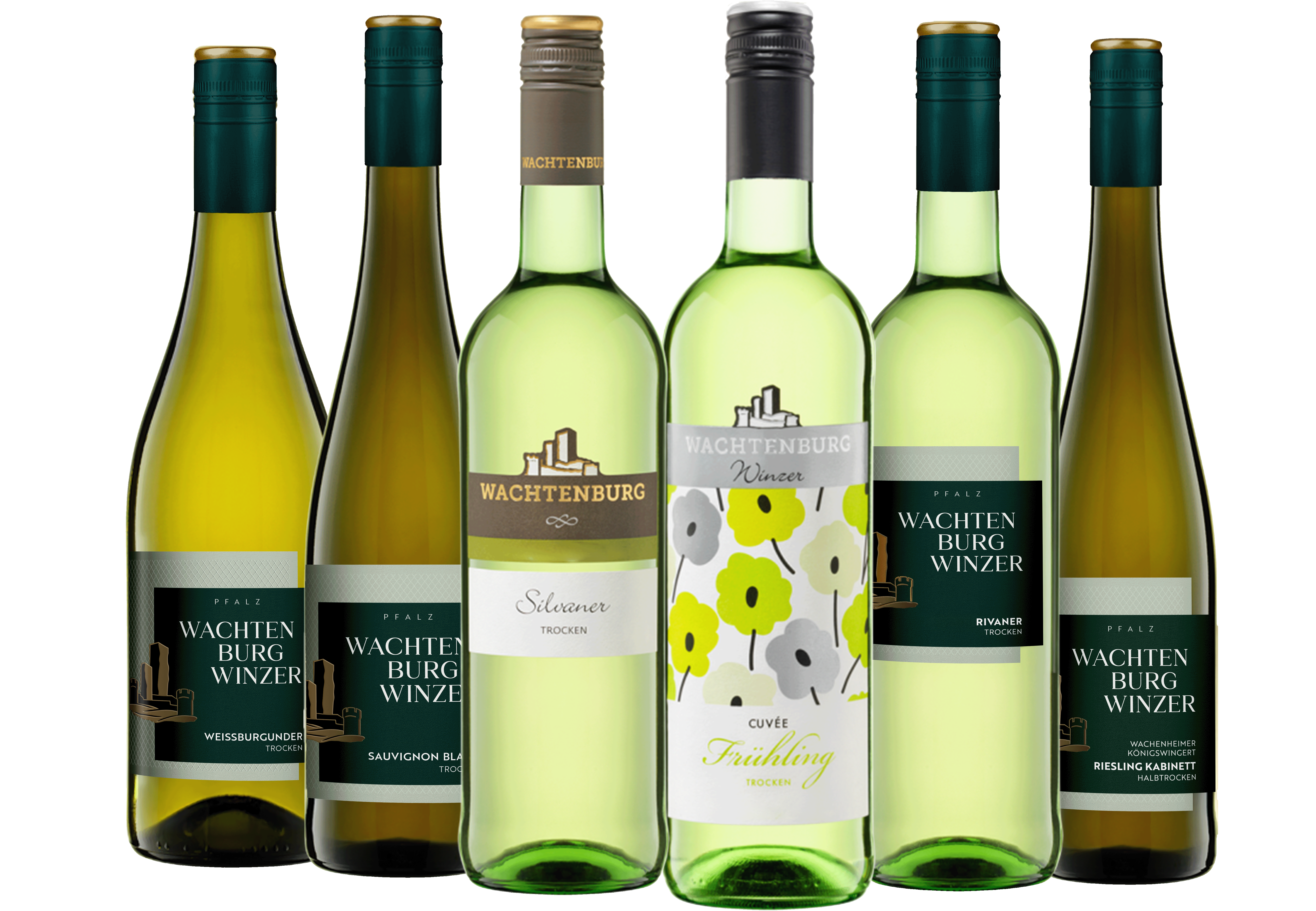 6er Paket - Spargel Wein Favoriten 