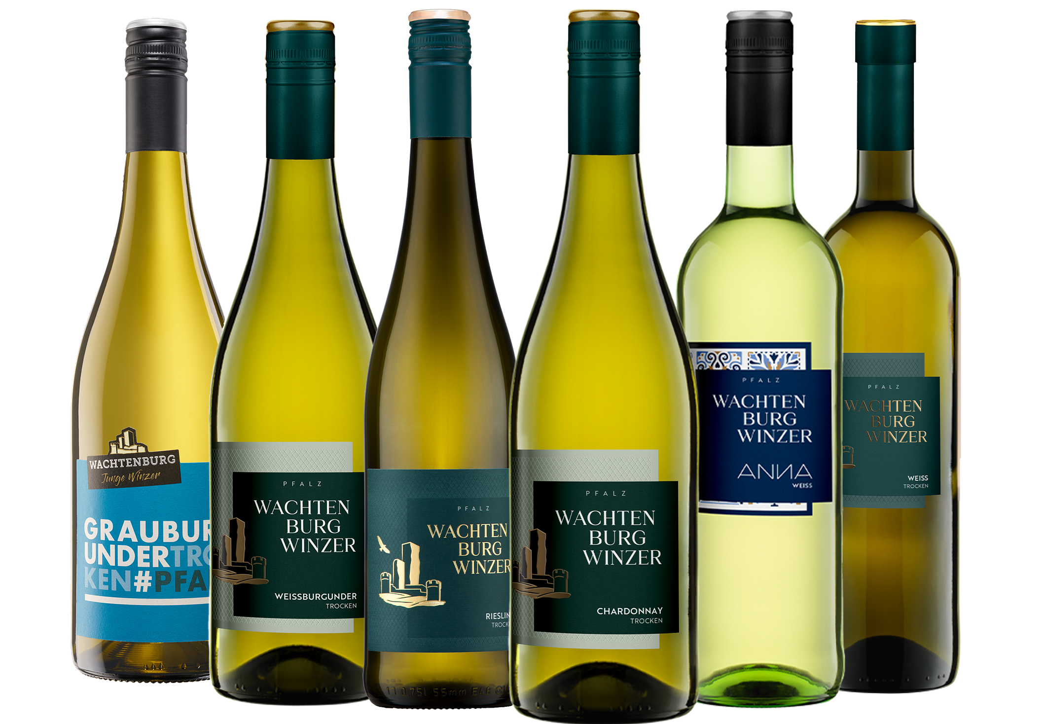 6er Weißwein-Favoriten