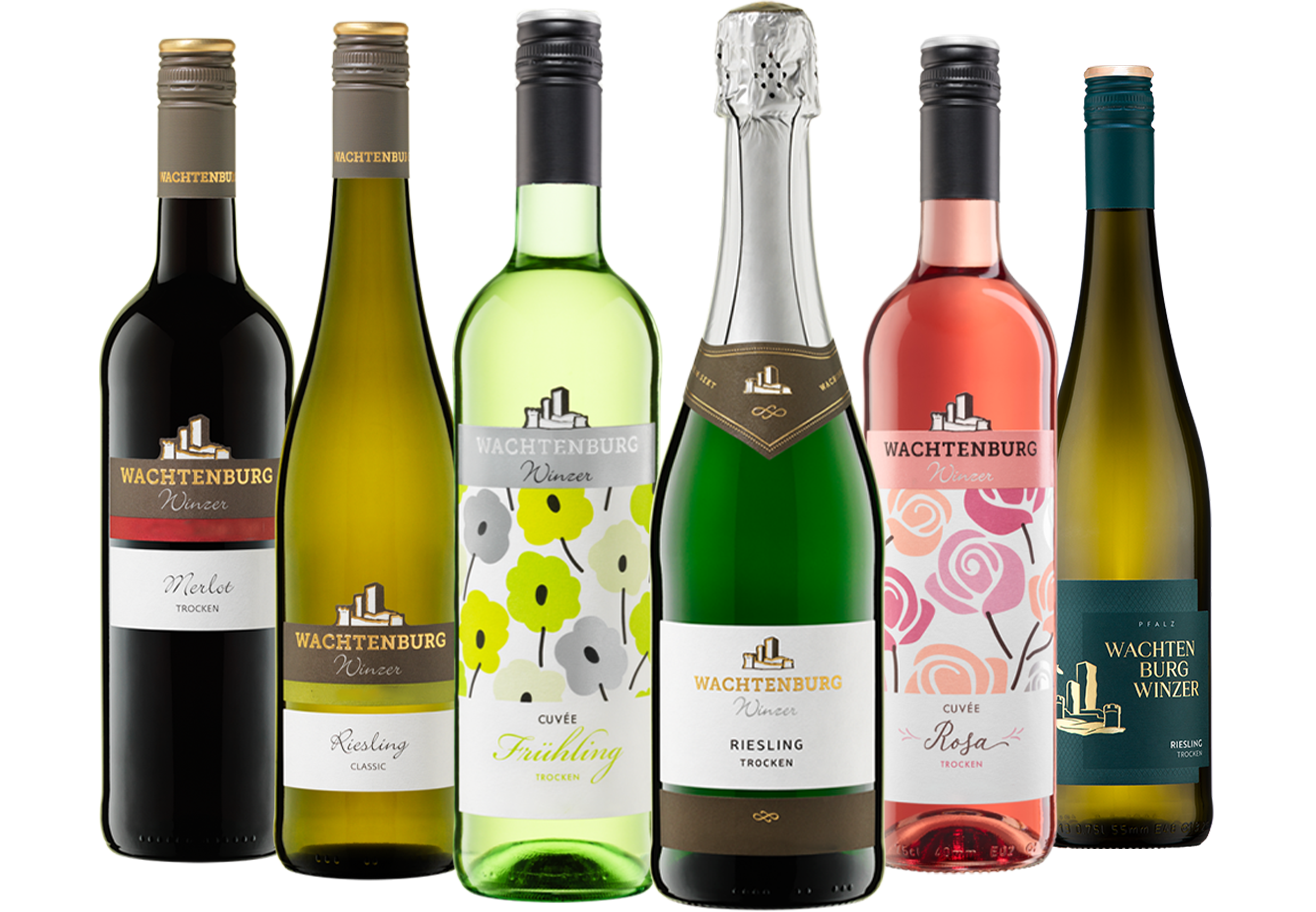 6er PFÄLZER GENUSS PAKET