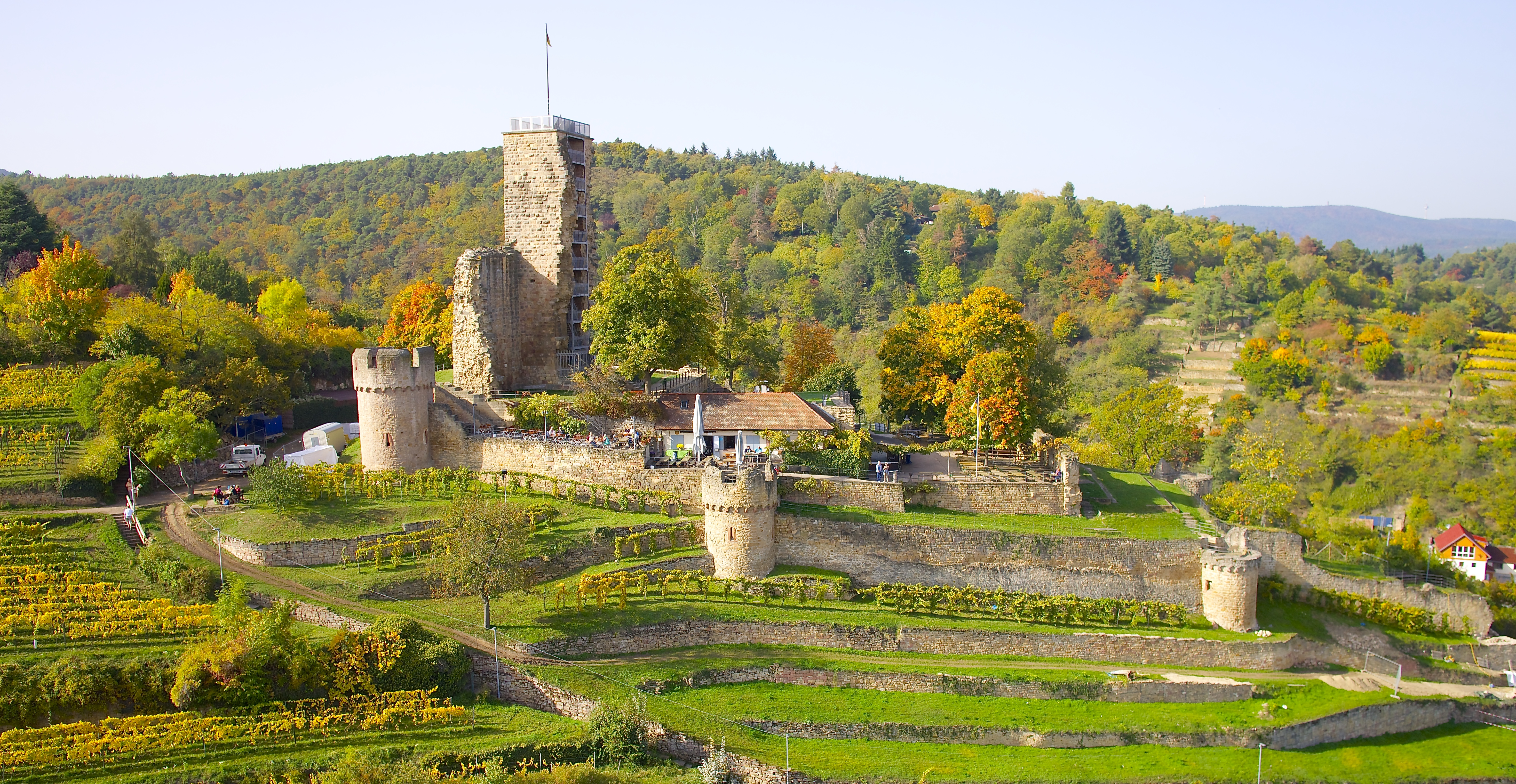 Weinprobe auf der Wachtenburg
