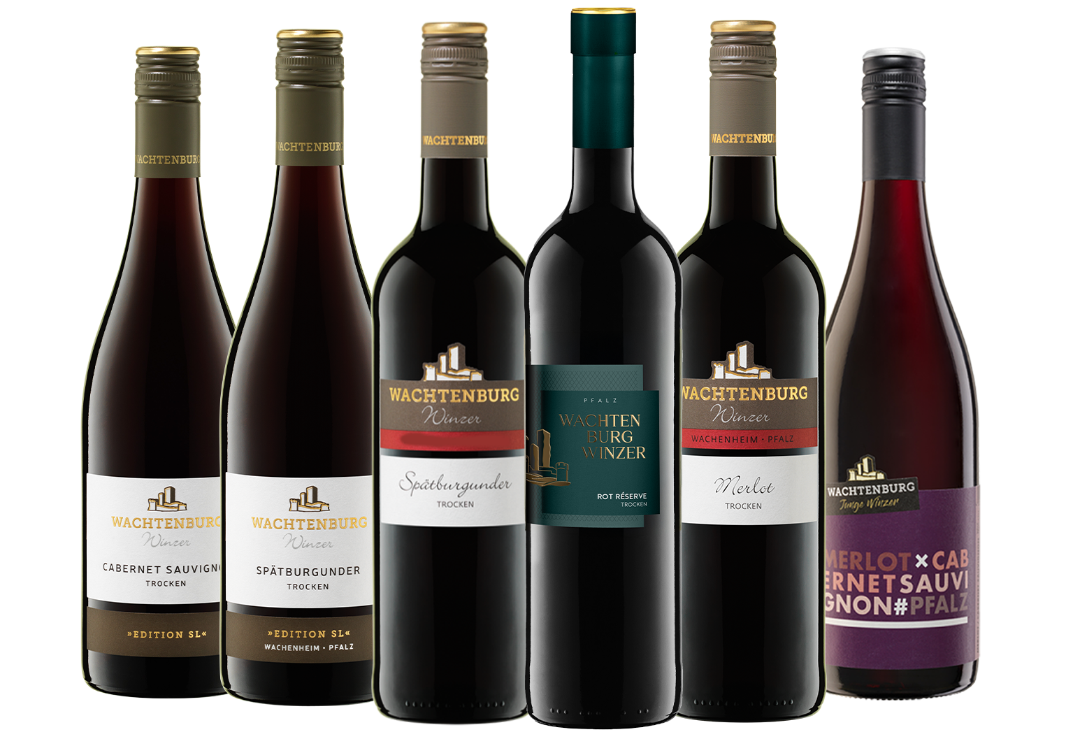 6er Rotwein-Favoriten